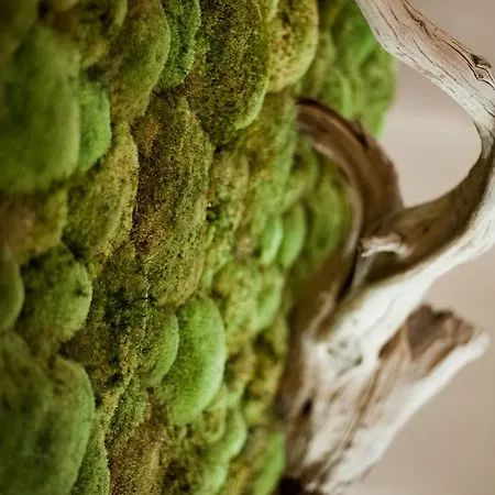 Hotel De France Montmarault