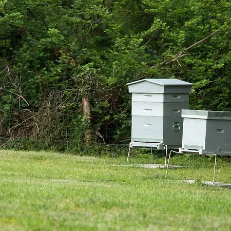 Hotel De France Montmarault