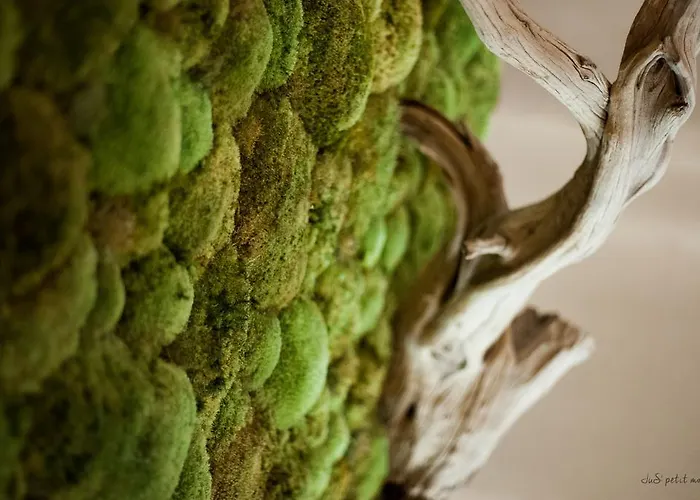 Hotel De France Montmarault