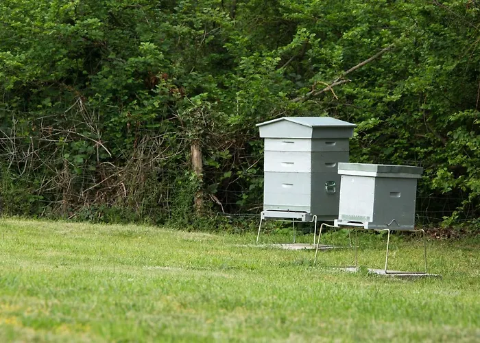 Hotel De France Montmarault